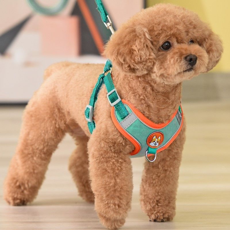 Running Gear Dog - 조정 가능한 Pull 애완 동물 반사