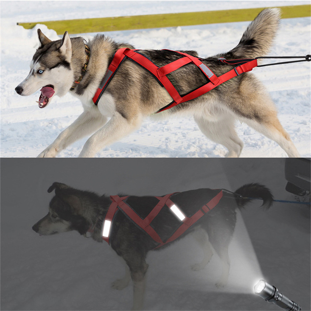 고품질 대형견 썰매 하네스 스키 러닝 애완견 하네스 ( - Running Gear Dog 리뷰 및 가격