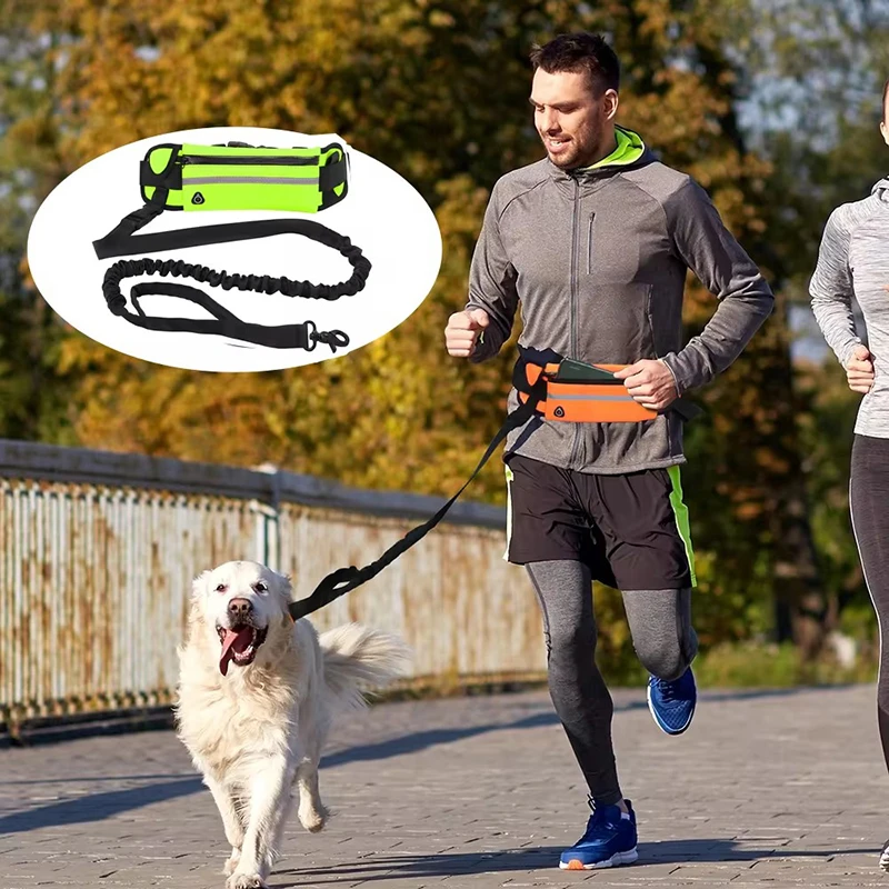 달리기 걷기를위한 핸즈프리 개 가죽 끈 허리 가방이있는 - Running Gear Dog 리뷰 및 가격