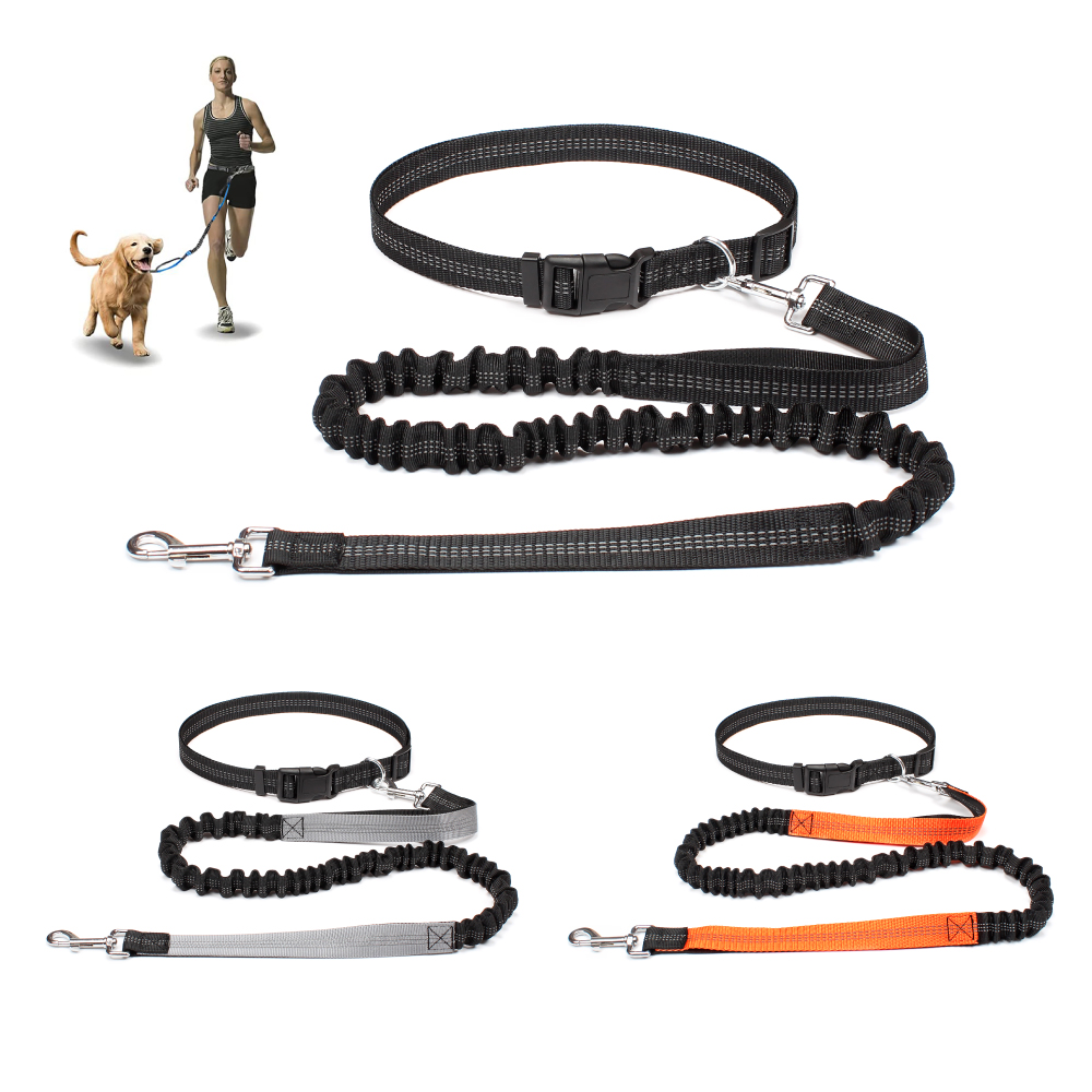 핸즈프리 애견 리드줄, 반려동물 산책, 러닝, 조깅용, - Running Gear Dog 리뷰 및 가격