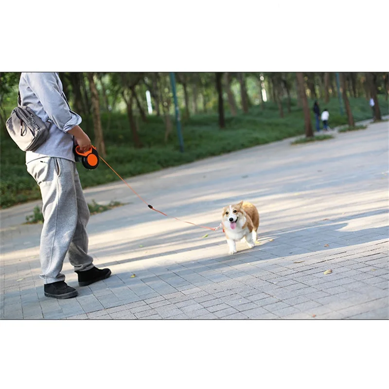 3M/5M/8M 개 디스펜서가 있는 소형 대형견용 개  - Running Gear Dog 리뷰 및 가격