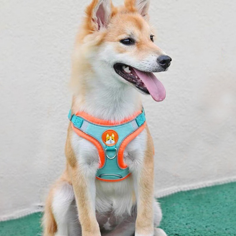 조정 가능한 Pull 애완 동물 반사 개 하네스 리드  - Running Gear Dog 리뷰 및 가격